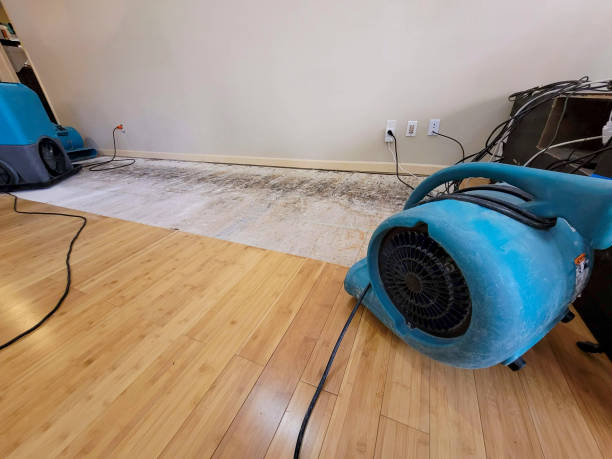 Professional Water Removal technician working in De Soto, IL
